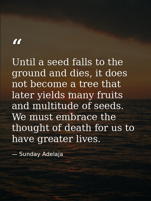 Until a seed falls to the ground and dies, it does not become a tree that later yields many fruits and multitude of seed — Sunday Adelaja