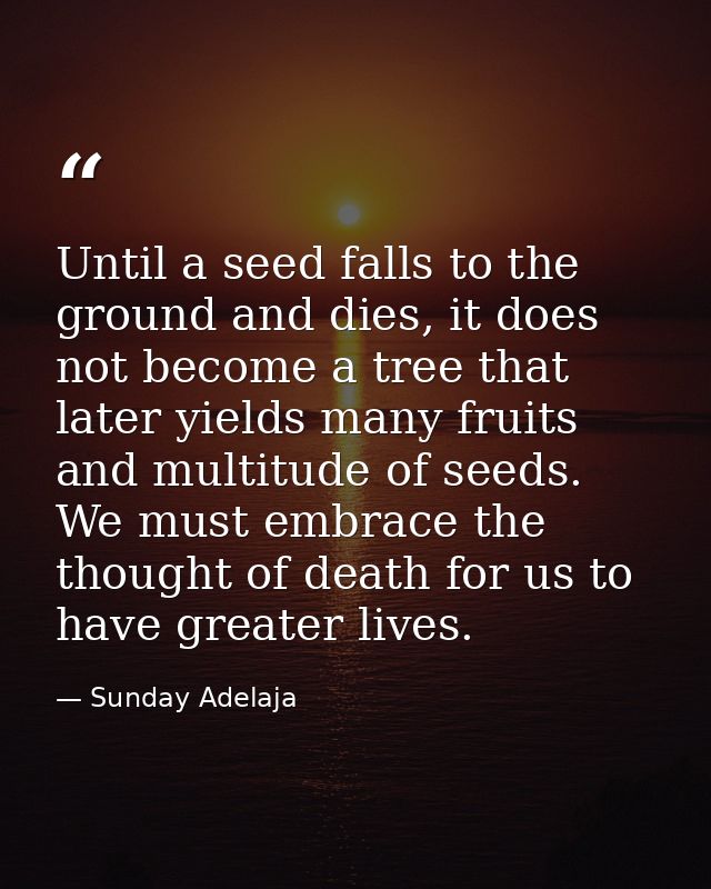 Until a seed falls to the ground and dies, it does not become a tree that later yields many fruits and multitude of seed — Sunday Adelaja