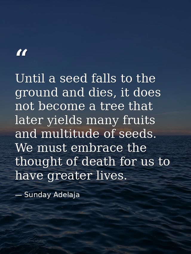 Until a seed falls to the ground and dies, it does not become a tree that later yields many fruits and multitude of seed — Sunday Adelaja