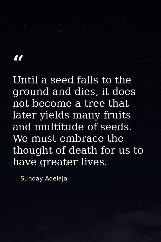 Until a seed falls to the ground and dies, it does not become a tree that later yields many fruits and multitude of seed — Sunday Adelaja