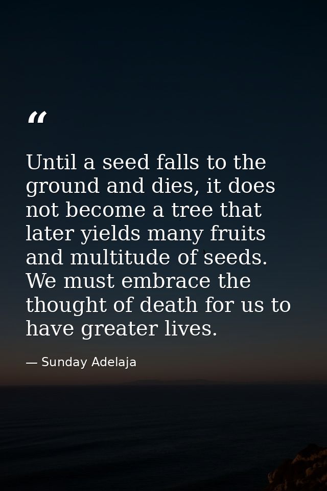 Until a seed falls to the ground and dies, it does not become a tree that later yields many fruits and multitude of seed — Sunday Adelaja