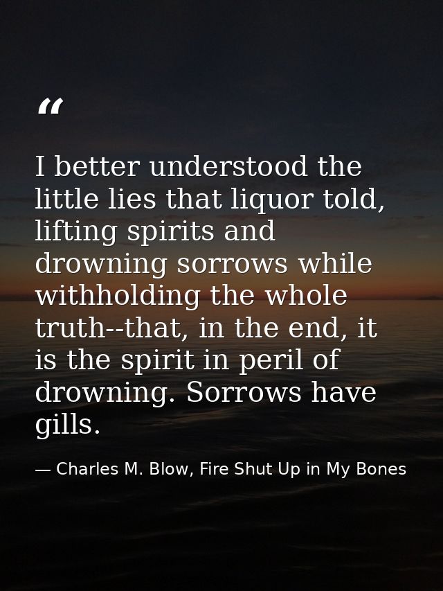 I better understood the little lies that liquor told, lifting spirits and drowning sorrows while withholding the whole t — Charles M. Blow, Fire Shut Up in My Bones