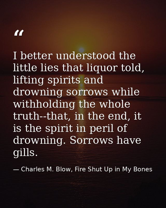 I better understood the little lies that liquor told, lifting spirits and drowning sorrows while withholding the whole t — Charles M. Blow, Fire Shut Up in My Bones