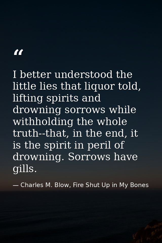 I better understood the little lies that liquor told, lifting spirits and drowning sorrows while withholding the whole t — Charles M. Blow, Fire Shut Up in My Bones