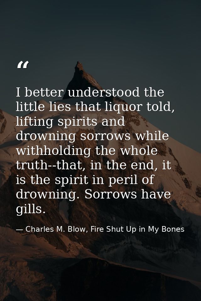 I better understood the little lies that liquor told, lifting spirits and drowning sorrows while withholding the whole t — Charles M. Blow, Fire Shut Up in My Bones