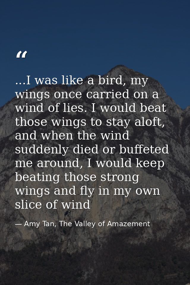 ...I was like a bird, my wings once carried on a wind of lies. I would beat those wings to stay aloft, and when the wind — Amy Tan, The Valley of Amazement