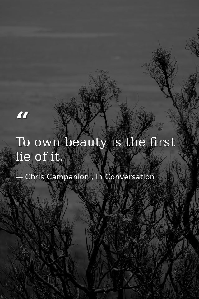 To own beauty is the first lie of it. — Chris Campanioni, In Conversation