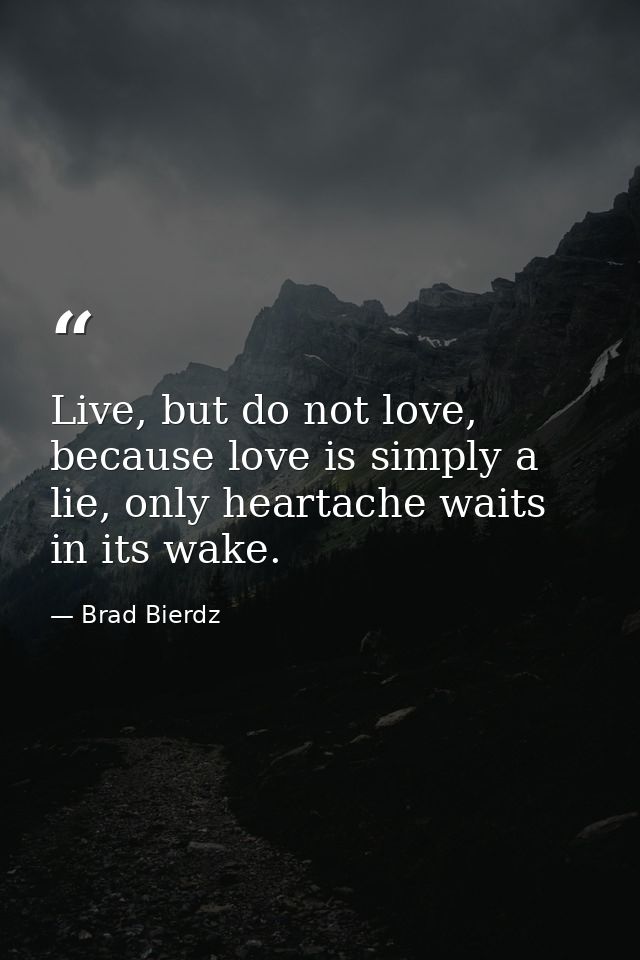 Live, but do not love, because love is simply a lie, only heartache waits in its wake. — Brad Bierdz