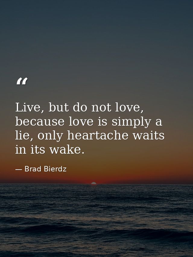 Live, but do not love, because love is simply a lie, only heartache waits in its wake. — Brad Bierdz