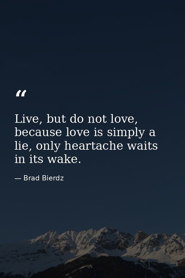 Live, but do not love, because love is simply a lie, only heartache waits in its wake. — Brad Bierdz