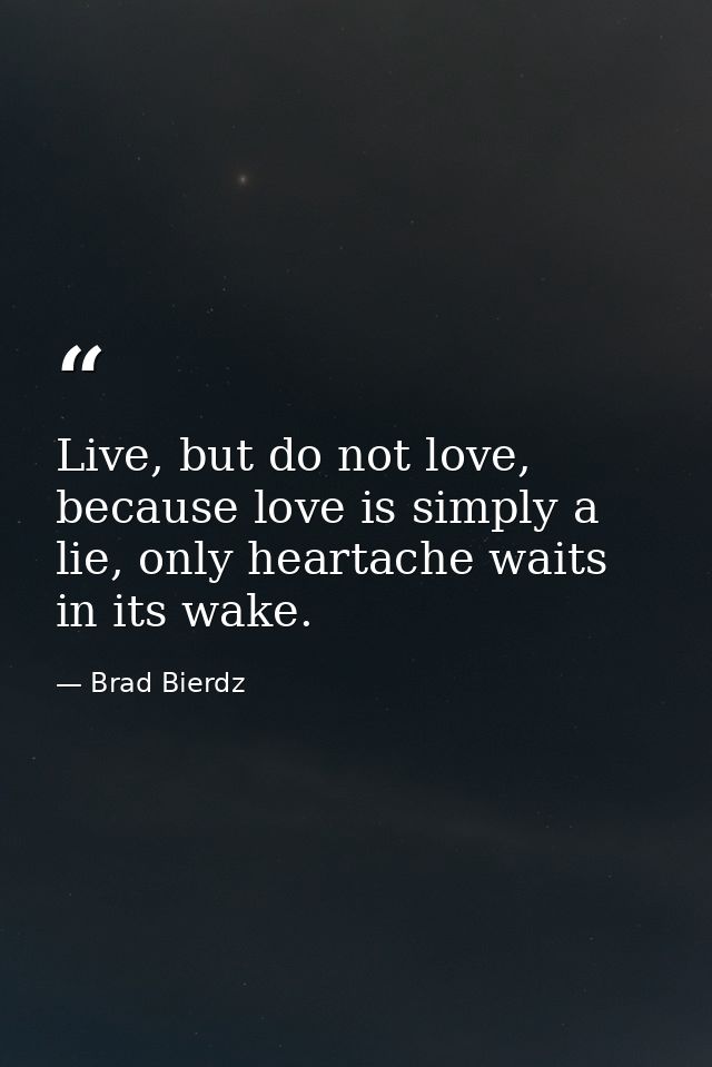 Live, but do not love, because love is simply a lie, only heartache waits in its wake. — Brad Bierdz