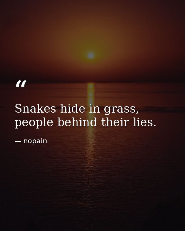 Snakes hide in grass, people behind their lies. — nopain