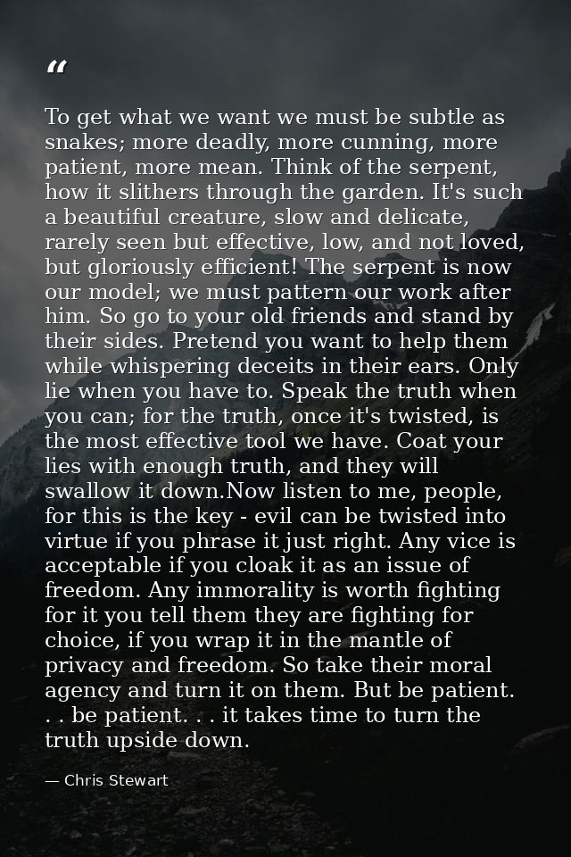 To get what we want we must be subtle as snakes; more deadly, more cunning, more patient, more mean. Think of the serpen — Chris Stewart