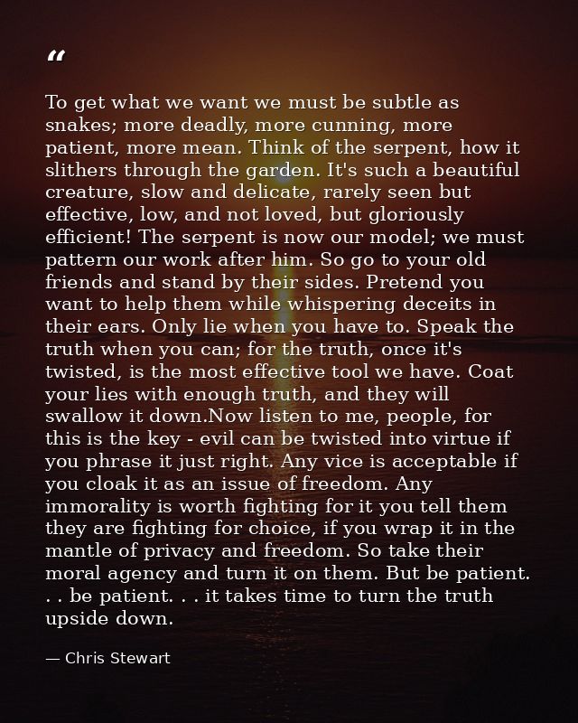 To get what we want we must be subtle as snakes; more deadly, more cunning, more patient, more mean. Think of the serpen — Chris Stewart