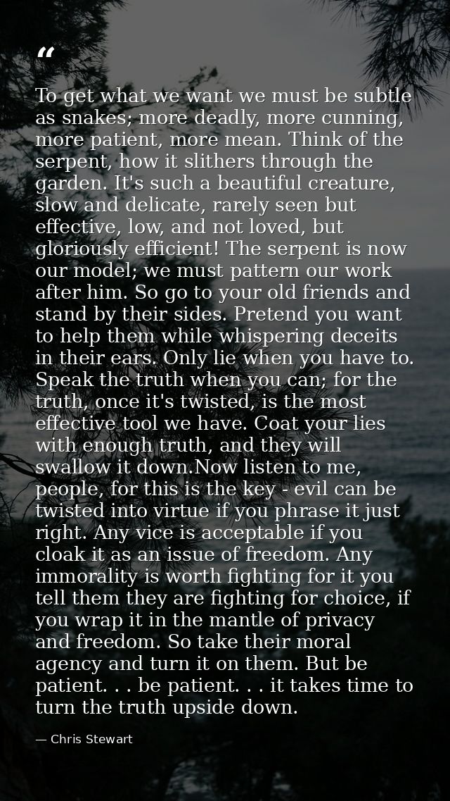 To get what we want we must be subtle as snakes; more deadly, more cunning, more patient, more mean. Think of the serpen — Chris Stewart