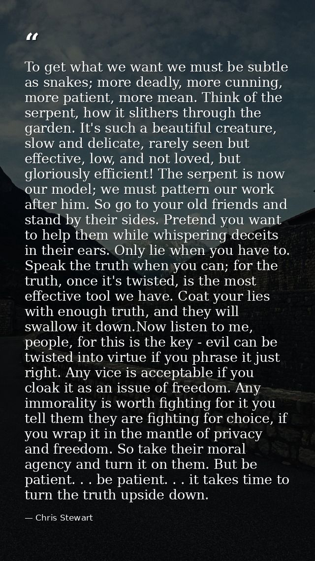 To get what we want we must be subtle as snakes; more deadly, more cunning, more patient, more mean. Think of the serpen — Chris Stewart