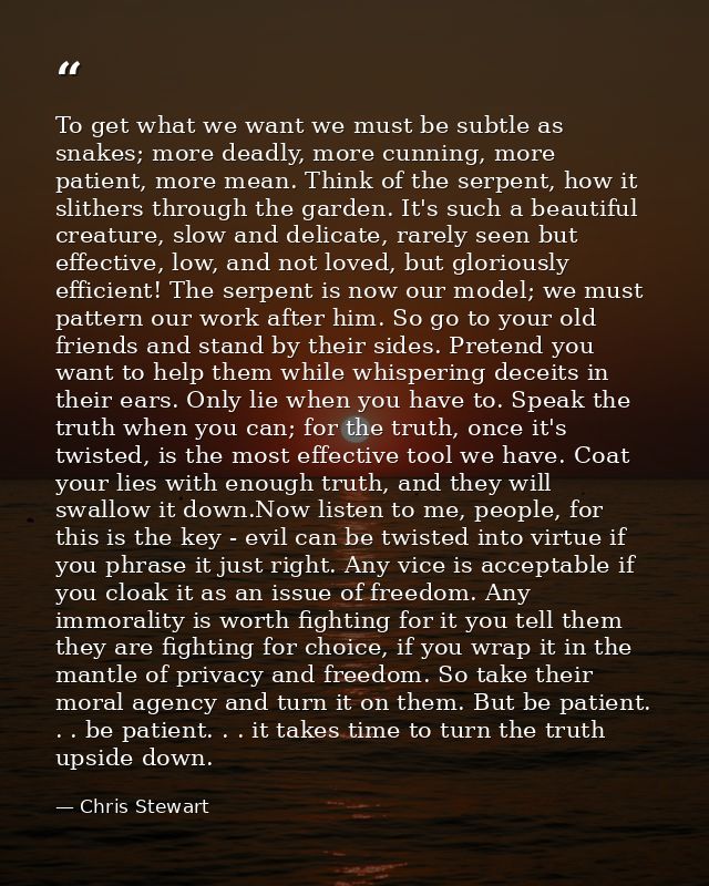 To get what we want we must be subtle as snakes; more deadly, more cunning, more patient, more mean. Think of the serpen — Chris Stewart