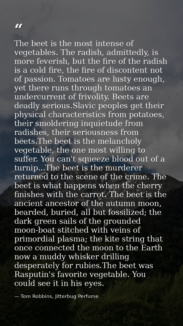 The beet is the most intense of vegetables. The radish, admittedly, is more feverish, but the fire of the radish is a co — Tom Robbins, Jitterbug Perfume