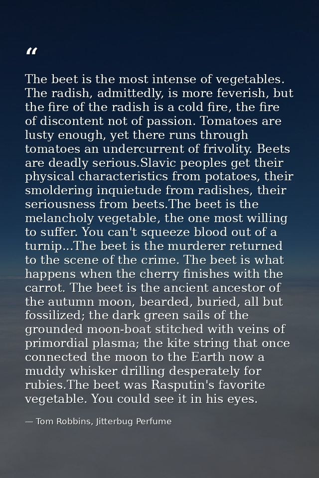 The beet is the most intense of vegetables. The radish, admittedly, is more feverish, but the fire of the radish is a co — Tom Robbins, Jitterbug Perfume