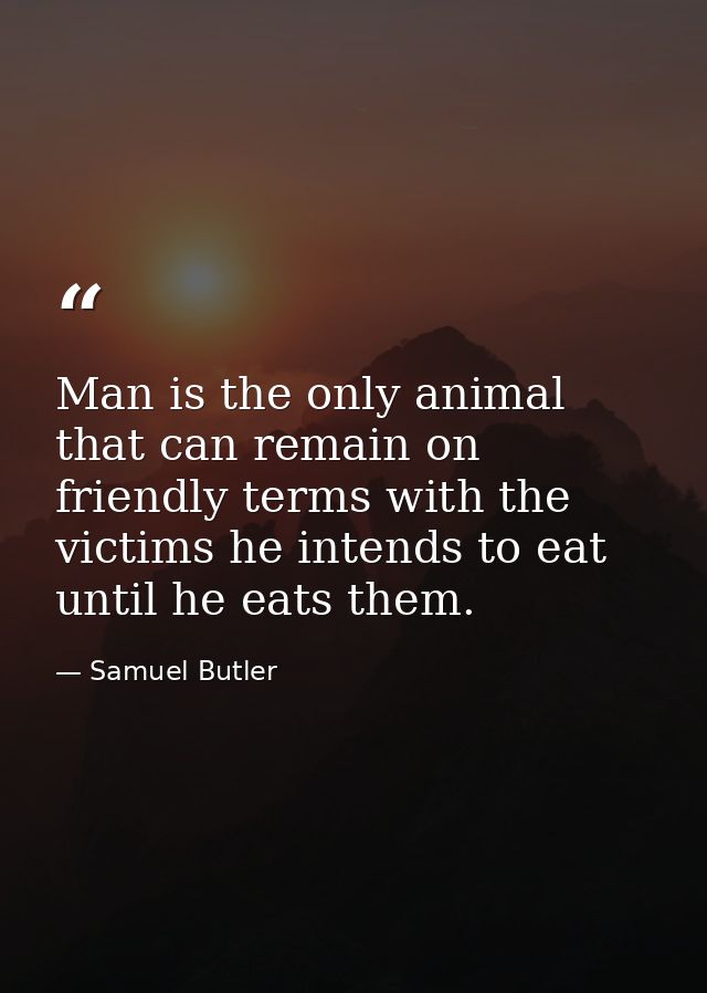 Man is the only animal that can remain on friendly terms with the victims he intends to eat until he eats them. — Samuel Butler