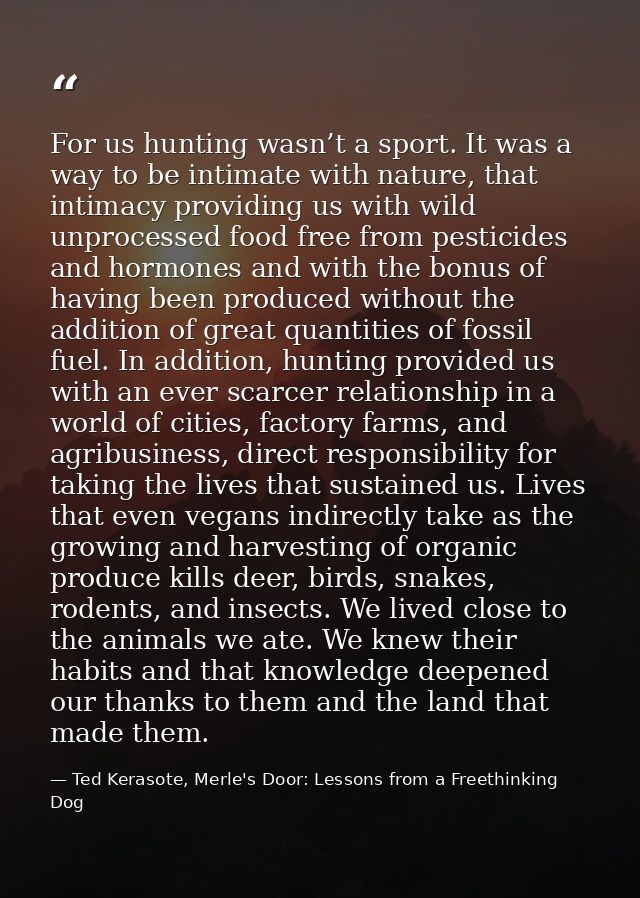 For us hunting wasn’t a sport. It was a way to be intimate with nature, that intimacy providing us with wild unprocessed — Ted Kerasote, Merle's Door: Lessons from a Freethinking Dog