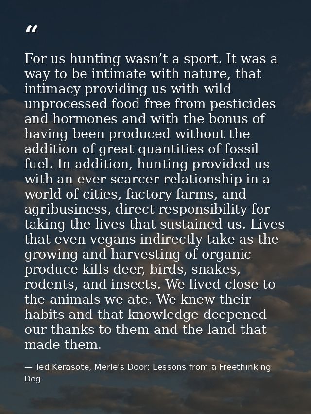 For us hunting wasn’t a sport. It was a way to be intimate with nature, that intimacy providing us with wild unprocessed — Ted Kerasote, Merle's Door: Lessons from a Freethinking Dog