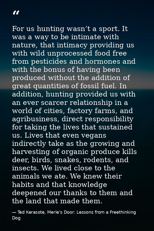 For us hunting wasn’t a sport. It was a way to be intimate with nature, that intimacy providing us with wild unprocessed — Ted Kerasote, Merle's Door: Lessons from a Freethinking Dog