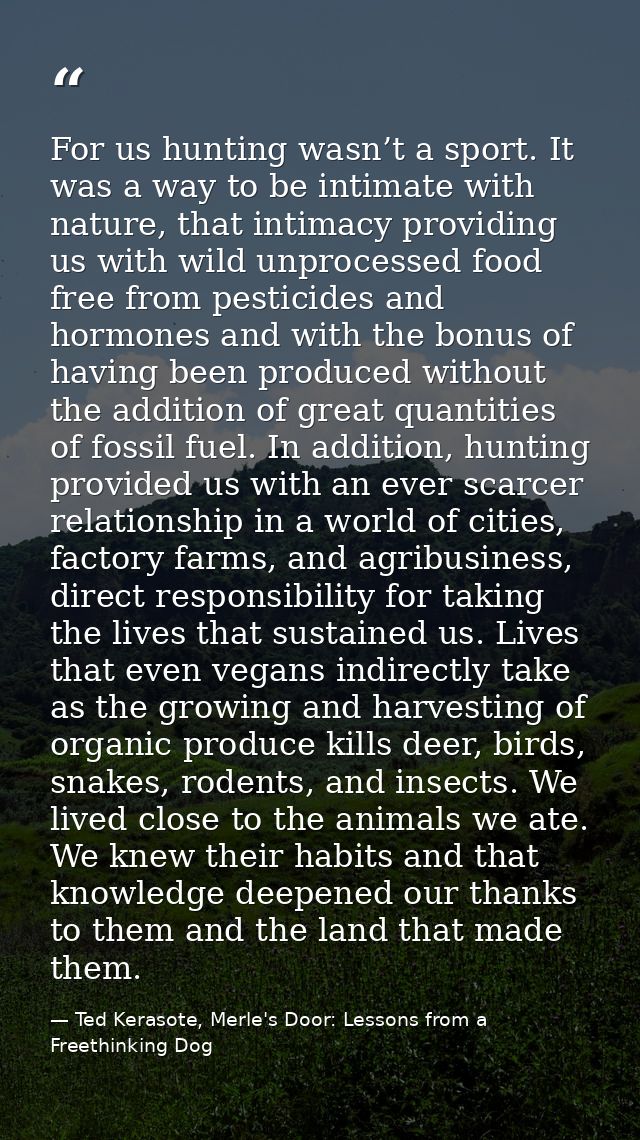 For us hunting wasn’t a sport. It was a way to be intimate with nature, that intimacy providing us with wild unprocessed — Ted Kerasote, Merle's Door: Lessons from a Freethinking Dog