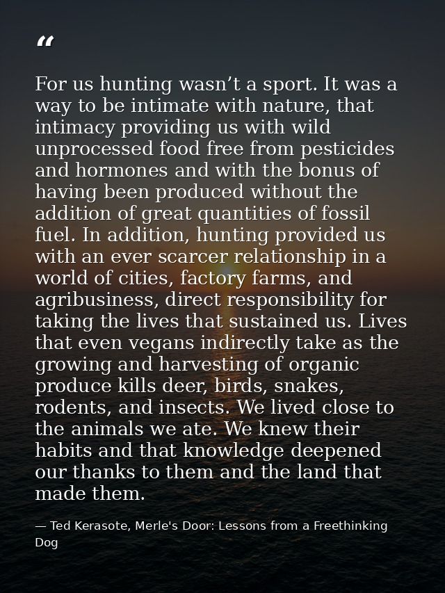 For us hunting wasn’t a sport. It was a way to be intimate with nature, that intimacy providing us with wild unprocessed — Ted Kerasote, Merle's Door: Lessons from a Freethinking Dog
