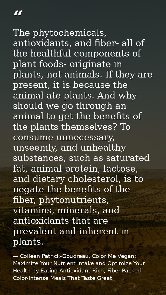 The phytochemicals, antioxidants, and fiber- all of the healthful components of plant foods- originate in plants, not an — Colleen Patrick-Goudreau, Color Me Vegan: Maximize Your Nutrient Intake and Optimize Your Health by Eating Antioxidant-Rich, Fiber-Packed, Color-Intense Meals That Taste Great