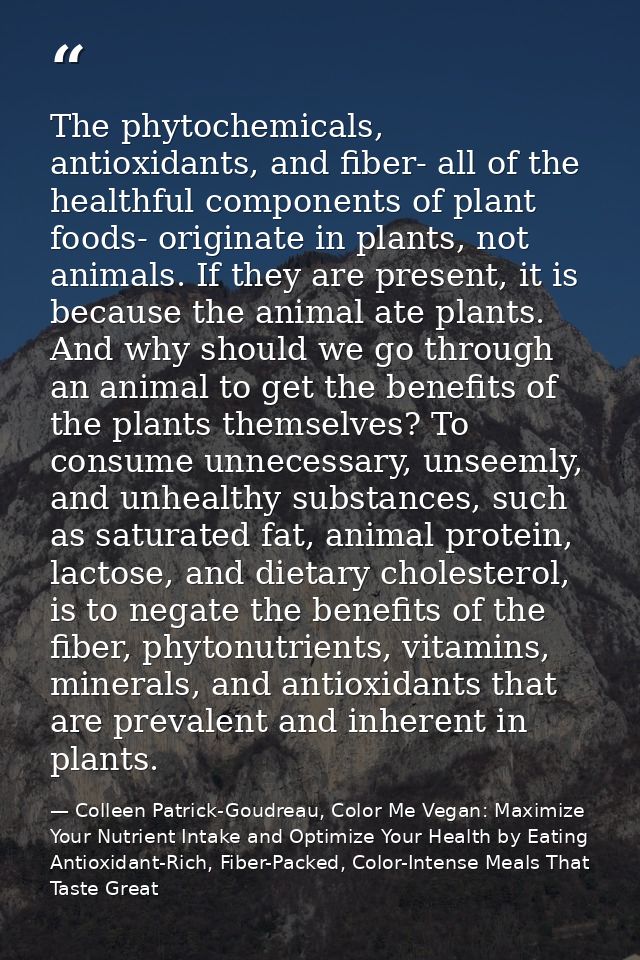 The phytochemicals, antioxidants, and fiber- all of the healthful components of plant foods- originate in plants, not an — Colleen Patrick-Goudreau, Color Me Vegan: Maximize Your Nutrient Intake and Optimize Your Health by Eating Antioxidant-Rich, Fiber-Packed, Color-Intense Meals That Taste Great