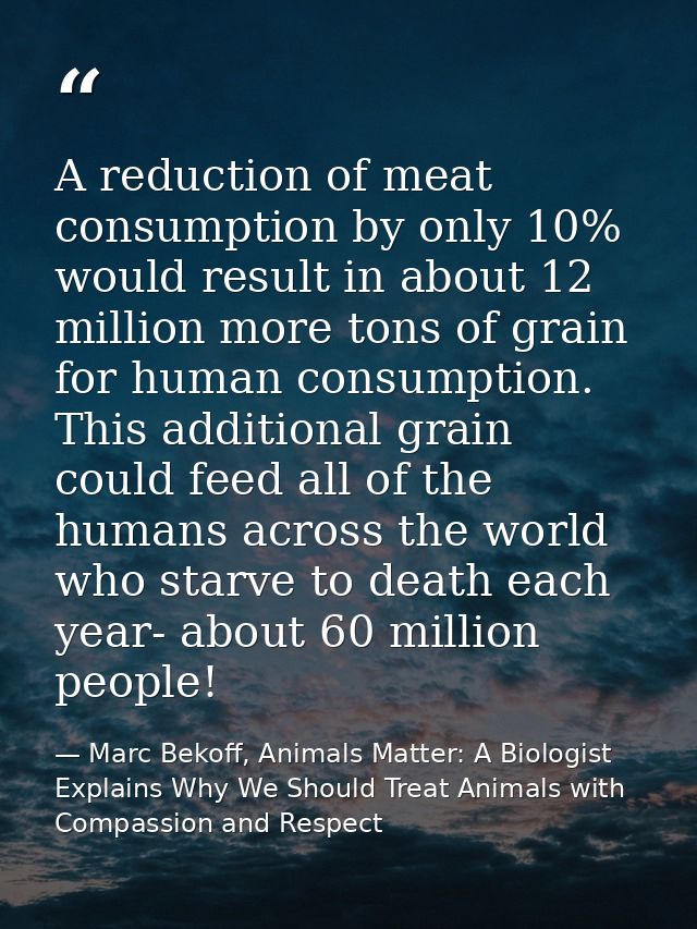 A reduction of meat consumption by only 10% would result in about 12 million more tons of grain for human consumption. T — Marc Bekoff, Animals Matter: A Biologist Explains Why We Should Treat Animals with Compassion and Respect