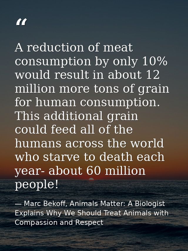 A reduction of meat consumption by only 10% would result in about 12 million more tons of grain for human consumption. T — Marc Bekoff, Animals Matter: A Biologist Explains Why We Should Treat Animals with Compassion and Respect