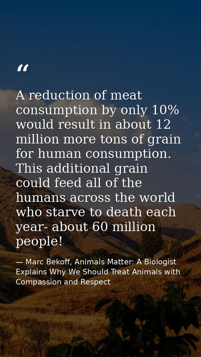 A reduction of meat consumption by only 10% would result in about 12 million more tons of grain for human consumption. T — Marc Bekoff, Animals Matter: A Biologist Explains Why We Should Treat Animals with Compassion and Respect