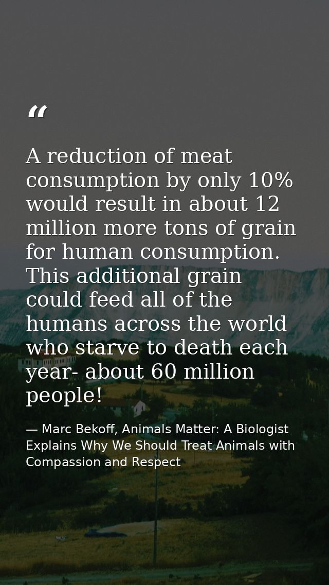 A reduction of meat consumption by only 10% would result in about 12 million more tons of grain for human consumption. T — Marc Bekoff, Animals Matter: A Biologist Explains Why We Should Treat Animals with Compassion and Respect