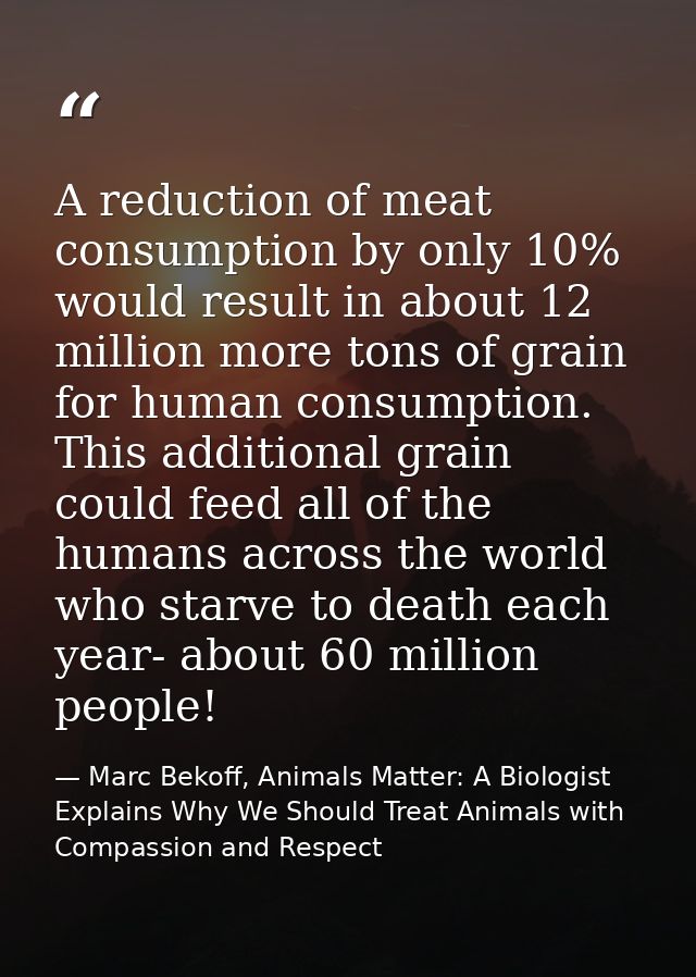 A reduction of meat consumption by only 10% would result in about 12 million more tons of grain for human consumption. T — Marc Bekoff, Animals Matter: A Biologist Explains Why We Should Treat Animals with Compassion and Respect