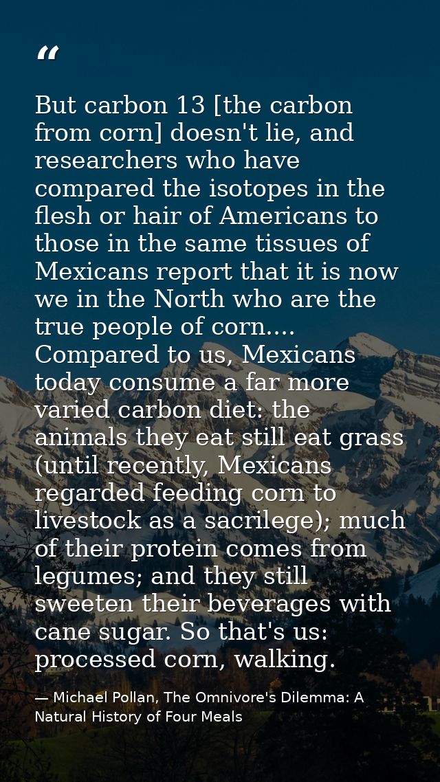 But carbon 13 [the carbon from corn] doesn't lie, and researchers who have compared the isotopes in the flesh or hair of — Michael Pollan, The Omnivore's Dilemma: A Natural History of Four Meals