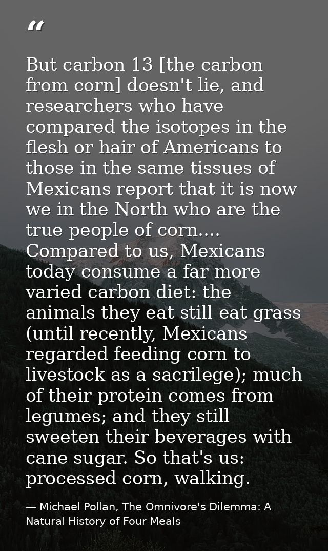 But carbon 13 [the carbon from corn] doesn't lie, and researchers who have compared the isotopes in the flesh or hair of — Michael Pollan, The Omnivore's Dilemma: A Natural History of Four Meals