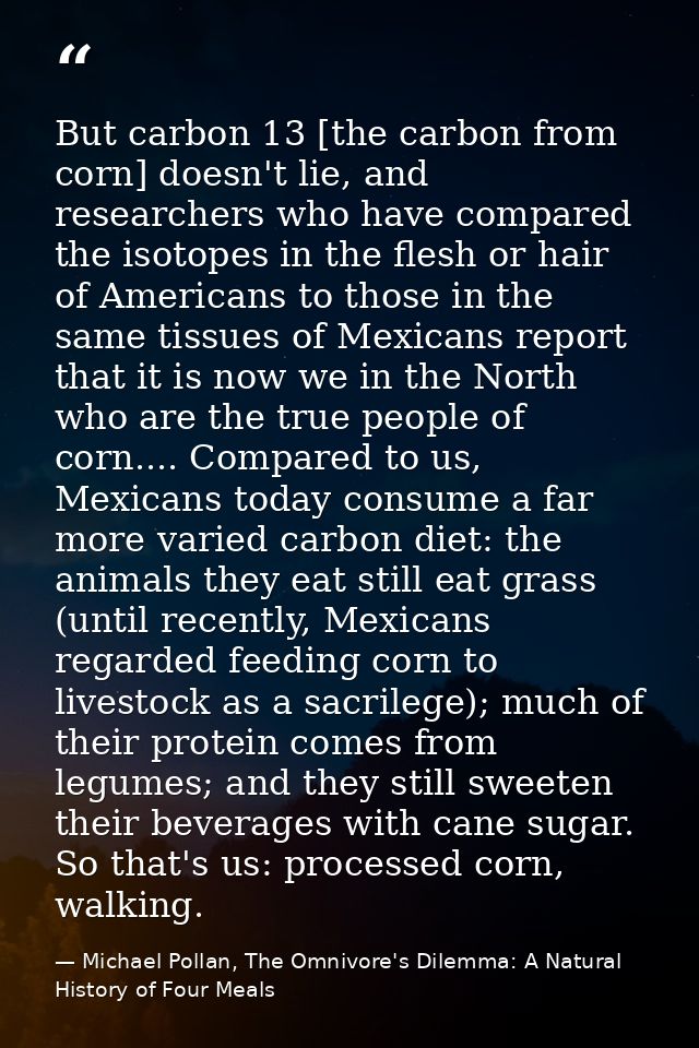 But carbon 13 [the carbon from corn] doesn't lie, and researchers who have compared the isotopes in the flesh or hair of — Michael Pollan, The Omnivore's Dilemma: A Natural History of Four Meals