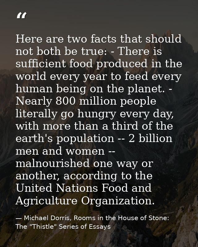 Here are two facts that should not both be true: - There is sufficient food produced in the world every year to feed eve — Michael Dorris, Rooms in the House of Stone: The "Thistle" Series of Essays