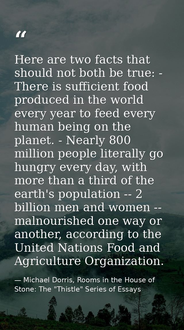 Here are two facts that should not both be true: - There is sufficient food produced in the world every year to feed eve — Michael Dorris, Rooms in the House of Stone: The "Thistle" Series of Essays