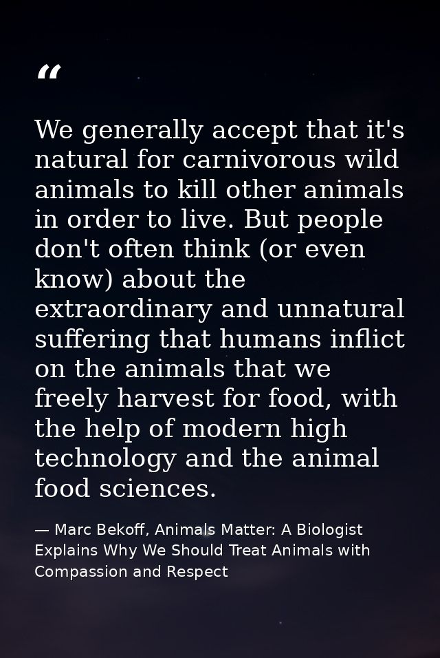 We generally accept that it's natural for carnivorous wild animals to kill other animals in order to live. But people do — Marc Bekoff, Animals Matter: A Biologist Explains Why We Should Treat Animals with Compassion and Respect