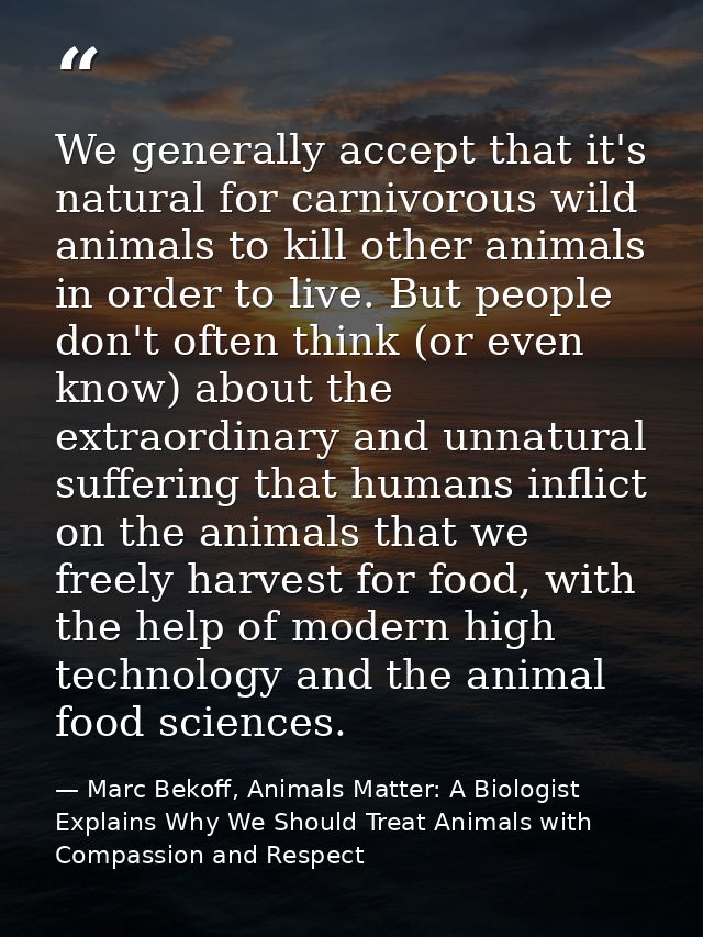We generally accept that it's natural for carnivorous wild animals to kill other animals in order to live. But people do — Marc Bekoff, Animals Matter: A Biologist Explains Why We Should Treat Animals with Compassion and Respect