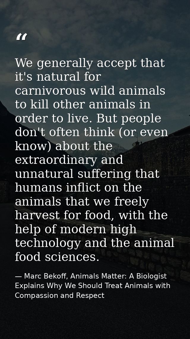 We generally accept that it's natural for carnivorous wild animals to kill other animals in order to live. But people do — Marc Bekoff, Animals Matter: A Biologist Explains Why We Should Treat Animals with Compassion and Respect