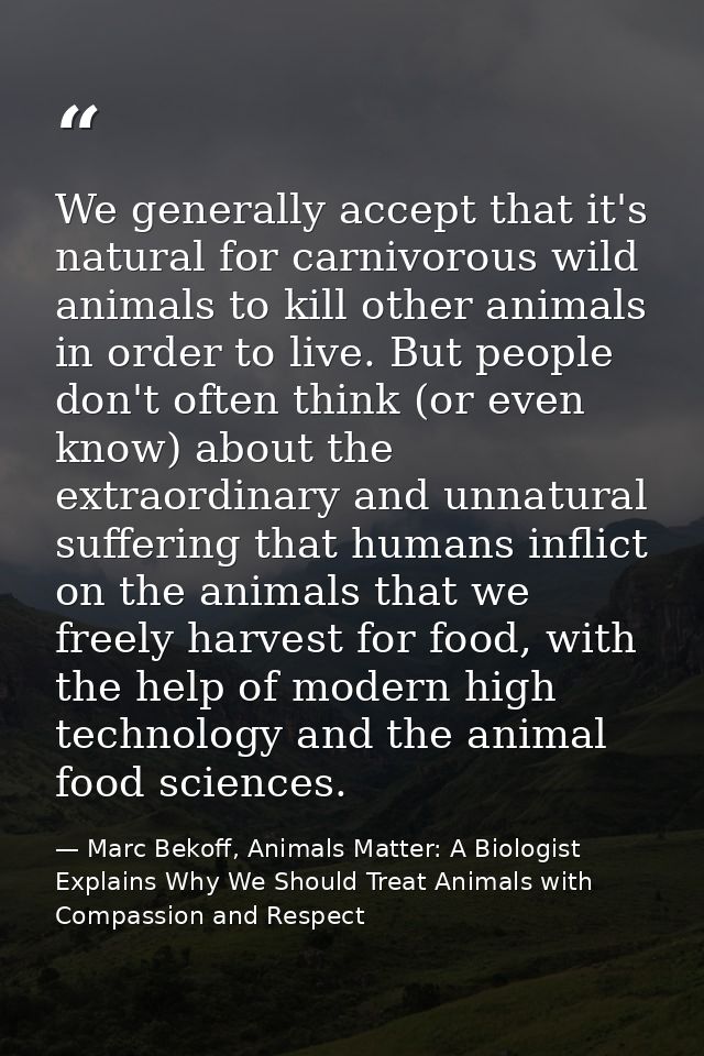 We generally accept that it's natural for carnivorous wild animals to kill other animals in order to live. But people do — Marc Bekoff, Animals Matter: A Biologist Explains Why We Should Treat Animals with Compassion and Respect