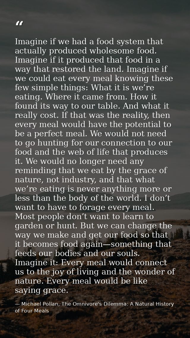 Imagine if we had a food system that actually produced wholesome food. Imagine if it produced that food in a way that re — Michael Pollan, The Omnivore's Dilemma: A Natural History of Four Meals