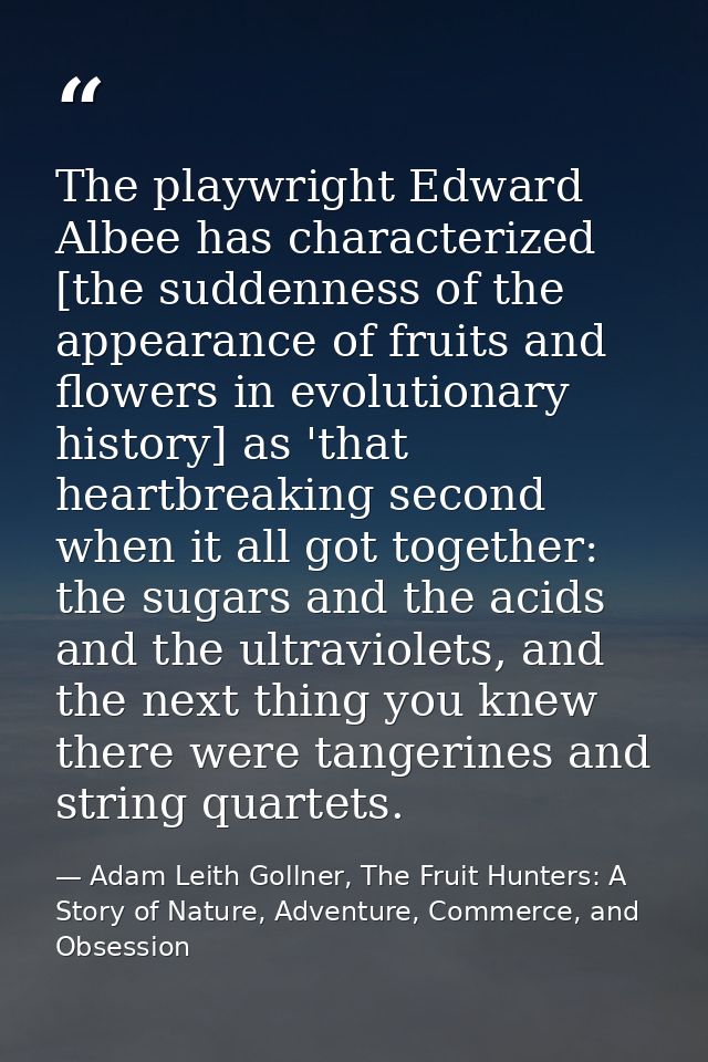 The playwright Edward Albee has characterized [the suddenness of the appearance of fruits and flowers in evolutionary hi — Adam Leith Gollner, The Fruit Hunters: A Story of Nature, Adventure, Commerce, and Obsession