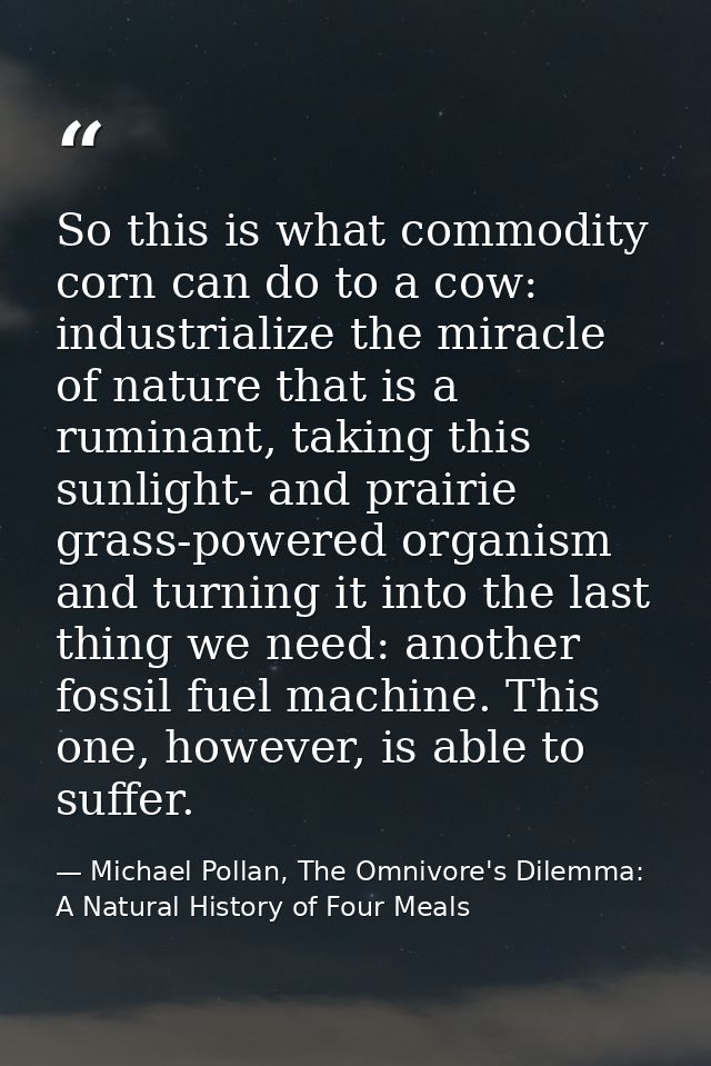 So this is what commodity corn can do to a cow: industrialize the miracle of nature that is a ruminant, taking this sunl — Michael Pollan, The Omnivore's Dilemma: A Natural History of Four Meals