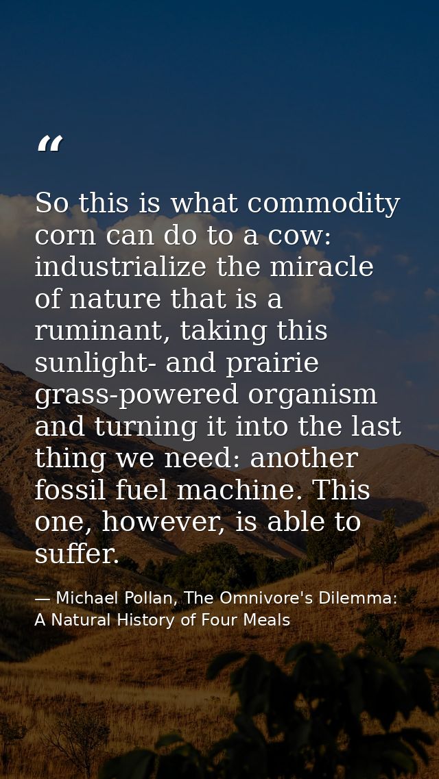 So this is what commodity corn can do to a cow: industrialize the miracle of nature that is a ruminant, taking this sunl — Michael Pollan, The Omnivore's Dilemma: A Natural History of Four Meals