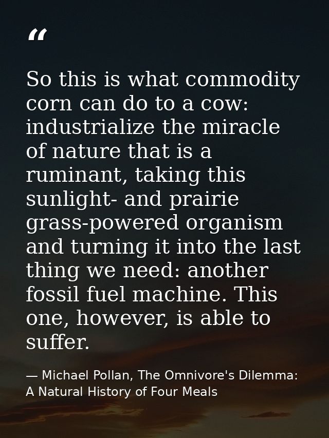 So this is what commodity corn can do to a cow: industrialize the miracle of nature that is a ruminant, taking this sunl — Michael Pollan, The Omnivore's Dilemma: A Natural History of Four Meals